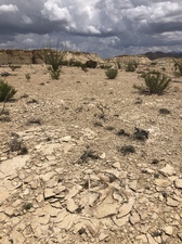 COLLEEN O'BRIEN BIG BEND 