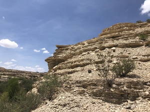 COLLEEN O'BRIEN BIG BEND 
