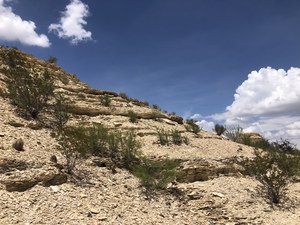 COLLEEN O'BRIEN BIG BEND 