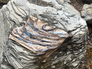 COLLEEN O'BRIEN BIG BEND 