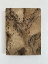 COLLEEN O'BRIEN BIG BEND 