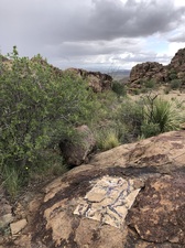 COLLEEN O'BRIEN BIG BEND 
