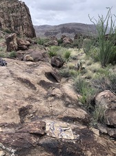 COLLEEN O'BRIEN BIG BEND 
