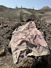 COLLEEN O'BRIEN BIG BEND 