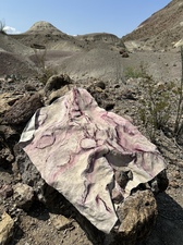 COLLEEN O'BRIEN BIG BEND 