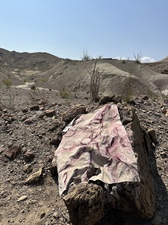 COLLEEN O'BRIEN BIG BEND 