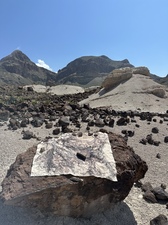 COLLEEN O'BRIEN BIG BEND 