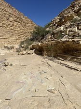 COLLEEN O'BRIEN BIG BEND 
