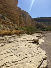 COLLEEN O'BRIEN BIG BEND 