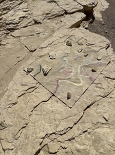 COLLEEN O'BRIEN BIG BEND 
