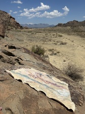COLLEEN O'BRIEN BIG BEND 