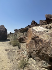 COLLEEN O'BRIEN BIG BEND 