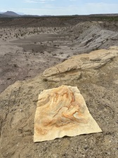 COLLEEN O'BRIEN BIG BEND 