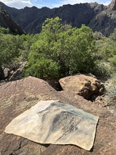COLLEEN O'BRIEN BIG BEND 