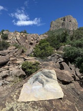 COLLEEN O'BRIEN BIG BEND 