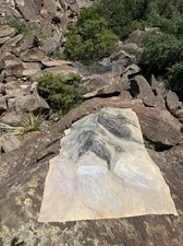 COLLEEN O'BRIEN BIG BEND 