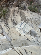 COLLEEN O'BRIEN BIG BEND 