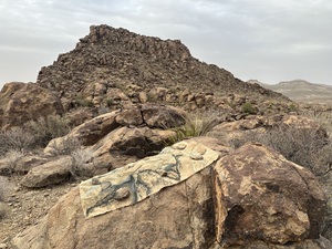 COLLEEN O'BRIEN BIG BEND 