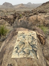 COLLEEN O'BRIEN BIG BEND 