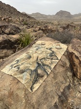 COLLEEN O'BRIEN BIG BEND 