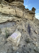 COLLEEN O'BRIEN BIG BEND 