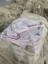 COLLEEN O'BRIEN BIG BEND 
