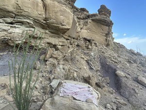 COLLEEN O'BRIEN BIG BEND 