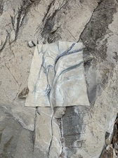 COLLEEN O'BRIEN BIG BEND 