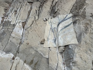 COLLEEN O'BRIEN BIG BEND 