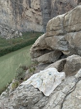 COLLEEN O'BRIEN BIG BEND 