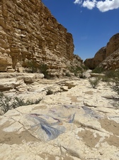 COLLEEN O'BRIEN BIG BEND 