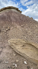 COLLEEN O'BRIEN BIG BEND 