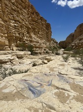 COLLEEN O'BRIEN BIG BEND 