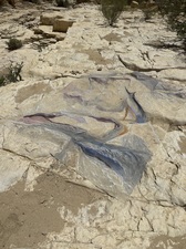 COLLEEN O'BRIEN BIG BEND 