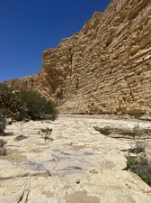 COLLEEN O'BRIEN BIG BEND 