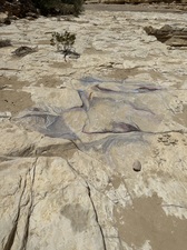 COLLEEN O'BRIEN BIG BEND 