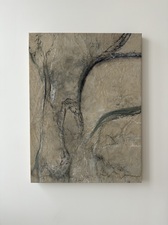 COLLEEN O'BRIEN BIG BEND 