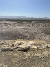 COLLEEN O'BRIEN BIG BEND 