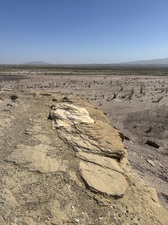 COLLEEN O'BRIEN BIG BEND 