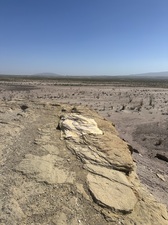 COLLEEN O'BRIEN BIG BEND 