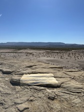 COLLEEN O'BRIEN BIG BEND 