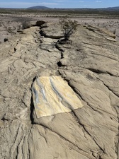 COLLEEN O'BRIEN BIG BEND 