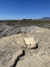 COLLEEN O'BRIEN BIG BEND 
