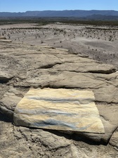 COLLEEN O'BRIEN BIG BEND 