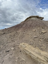 COLLEEN O'BRIEN BIG BEND 