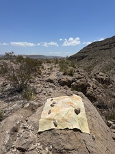 COLLEEN O'BRIEN BIG BEND 