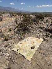 COLLEEN O'BRIEN BIG BEND 
