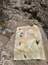 COLLEEN O'BRIEN BIG BEND 