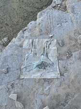 COLLEEN O'BRIEN BIG BEND 