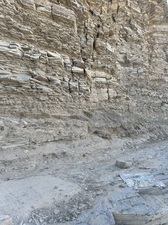 COLLEEN O'BRIEN BIG BEND 